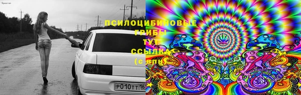 мяу мяу мука Богородск